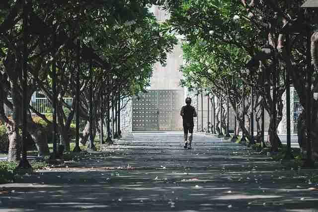 鉴黄师电脑版实录指南发布｜复杂内容判断标准重建审核流程首次完整公开